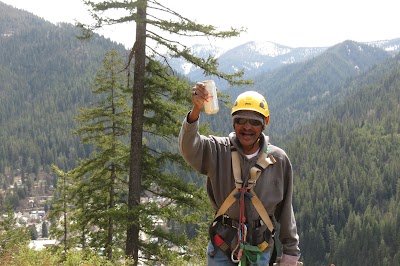 Silver Streak Zipline Tours