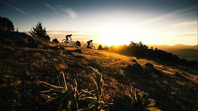 Photos of Trek Bicycle Store