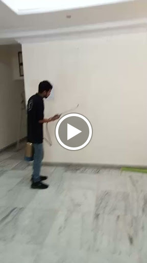 Gallery image 11