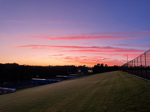 Tom Wills Oval