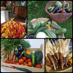 Photo n°5 de La ferme du Lou à Vals-les-Bains (Ferme)