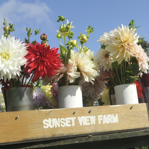 Flower Stand at Sunset View Farm - Thumbnail