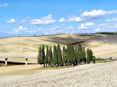 Strada dei Cipressi (SP 88)