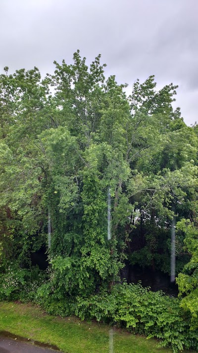 Lofts at Pocasset Mill