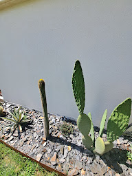 Photo n°17 de Les Lodges Taizen à Saint-Cannat (Hôtel)