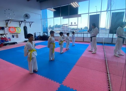 Taekwondo Gajog PTY