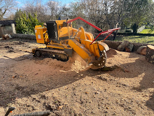 Photo n°13 de EI RENAC Loïc - Elagage à Bazas (Négociant en bois)