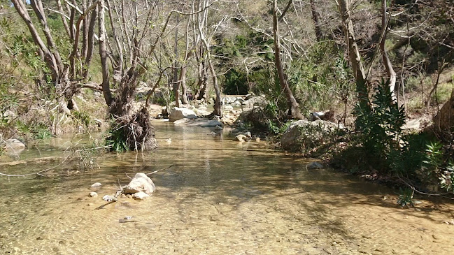Σχόλια και κριτικές για το Ράθες