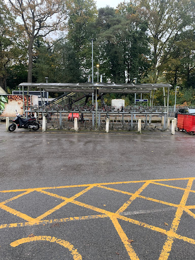 Oxshott - Visual