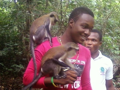 Photos of Tafi Atome Monkey Sanctuary
