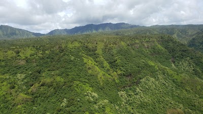 Blue Hawaiian Helicopters