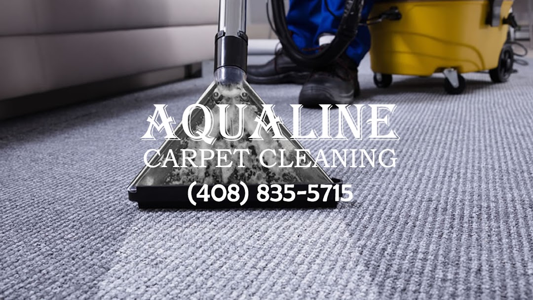 Aqualine Carpet Cleaning Santa Clara Service In Sunnyvale