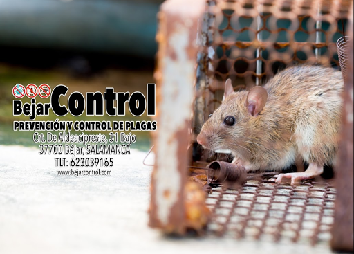 BejarControl - Visual