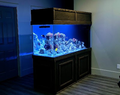 Top Notch Tanks Aquarium Services