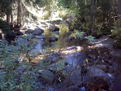 Jedediah Smith Wilderness