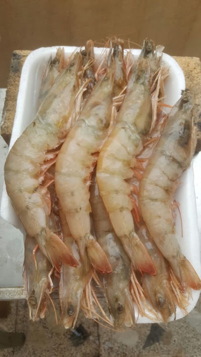 Photos of Izmirli Mustafa Fish Restaurant