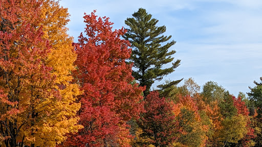 Wawonowin Country Club Gallery - United States
