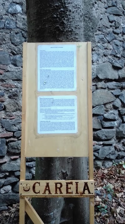 Photos of Monumento Naturale di Galeria Antica