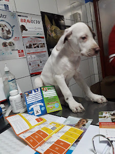 Clinica Veterinaria Olvet 8