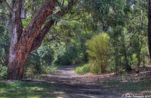 Merri Park - Thumbnail