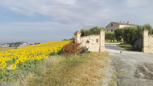 Paradiso Marmi