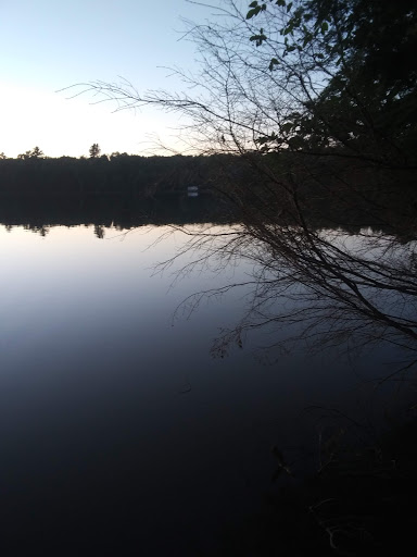 Courtney Lake Campground - Thumbnail