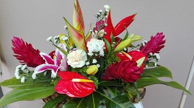 Photos of FLORISTER&Iacute;A AVE DEL PARA&Iacute;SO JACO