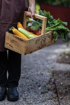 Siggesta Gård - hotell & konferens by null