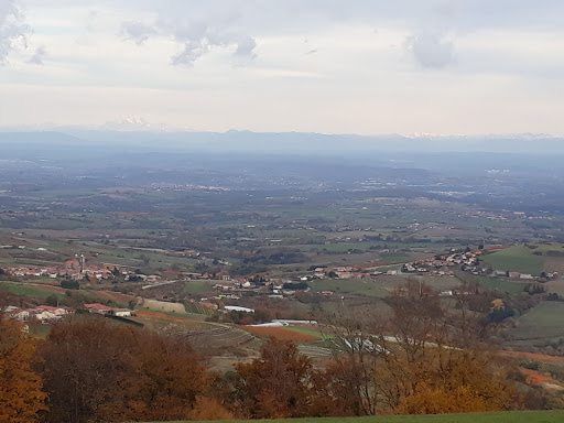 Photo 7 - Burger des monts