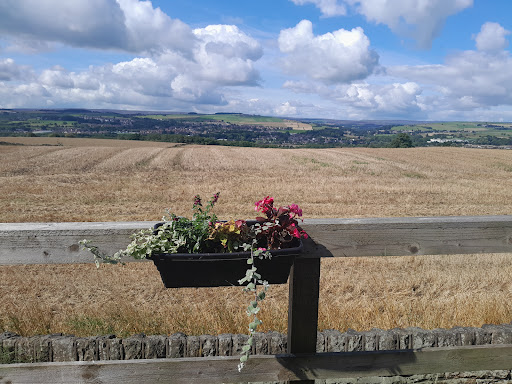 site_photo4
