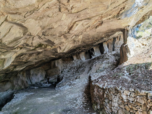 Bosco Caproni Parco storico naturalistico