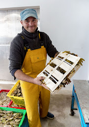 Photo n°23 de Earl Huîtres Lemoigne à Ploubazlanec (Fournisseur d'huîtres)