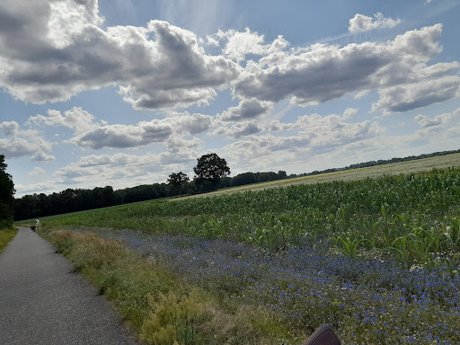Geronsee - Thumbnail