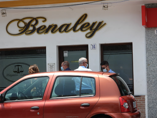 Benaley - Visual