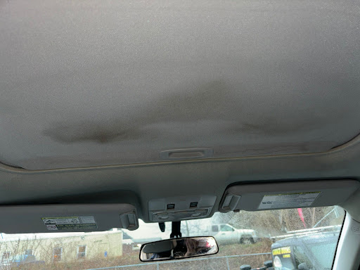 GIRLS GARAGE AUTO DETAILING - Thumbnail