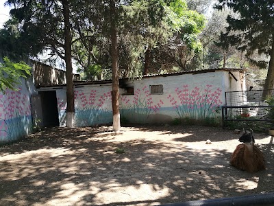 Photos of Baku Zoological Park