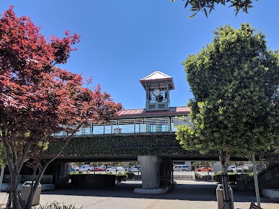 Belmont Station