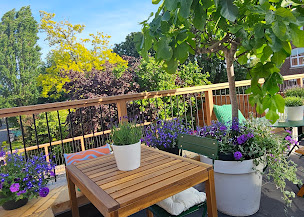 Photo n°15 de Wilder by La Wilderie à Saint-André-lez-Lille (Jardinerie)