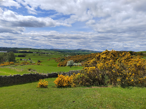 Easthill stone circle Logo