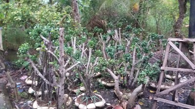 Photos of Pusat Beringin Dolar