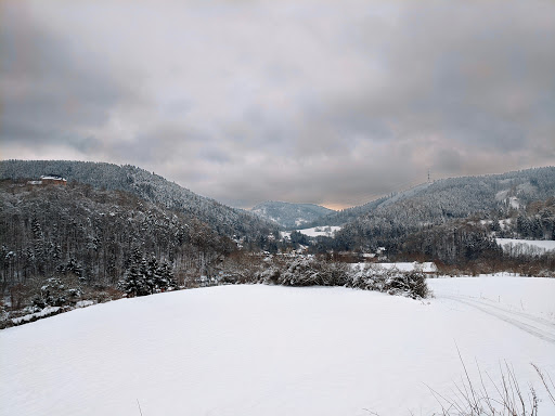 Löhmberg - Visual