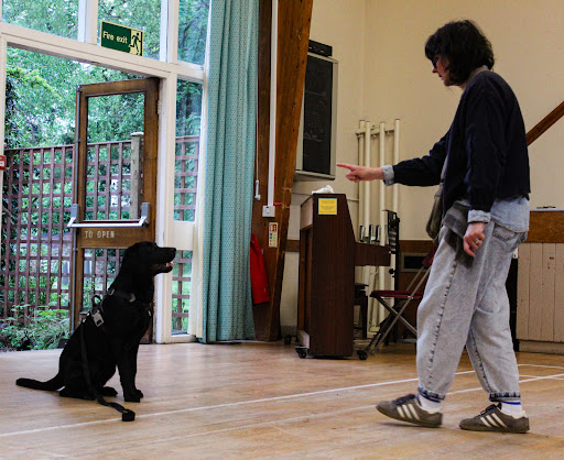 Animal Kind Dog Training and Behaviour - Thumbnail