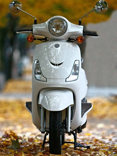 photo of Elsaad motorcycle السعد للموتوسيكلات