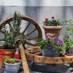 Photo n°45 de Restaurant “Dostoïevski” à Strasbourg (Restaurant végétalien)