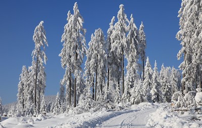 lodging