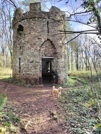 Glan Faenol - Thumbnail