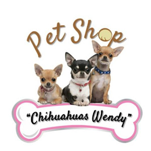 Pet Shop Chihuahuas Wendy 4