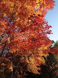 檜原山正平寺 寺務所