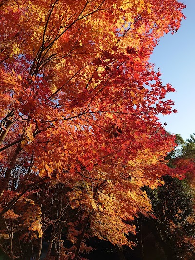 檜原山正平寺 寺務所