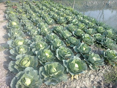 Photos of Amvita Agro Farm